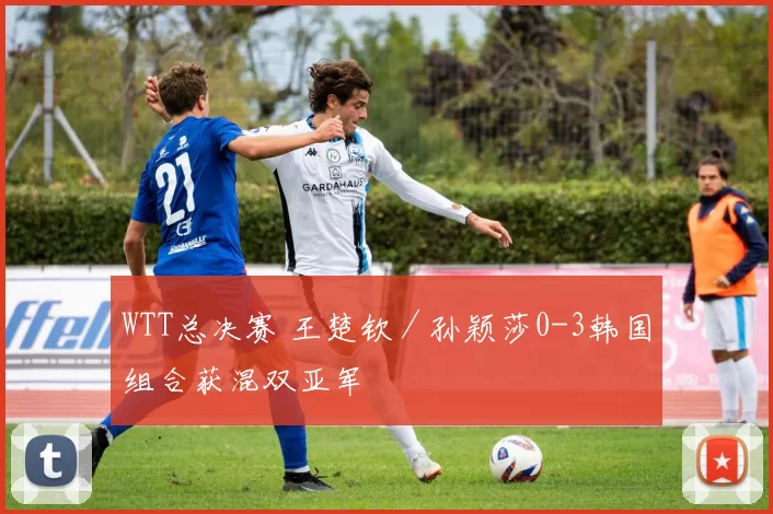 WTT总决赛 王楚钦／孙颖莎0-3韩国组合获混双亚军