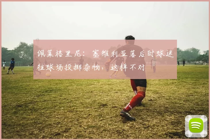 佩莱格里尼：塞维利亚落后时球迷往球场投掷杂物，这样不对