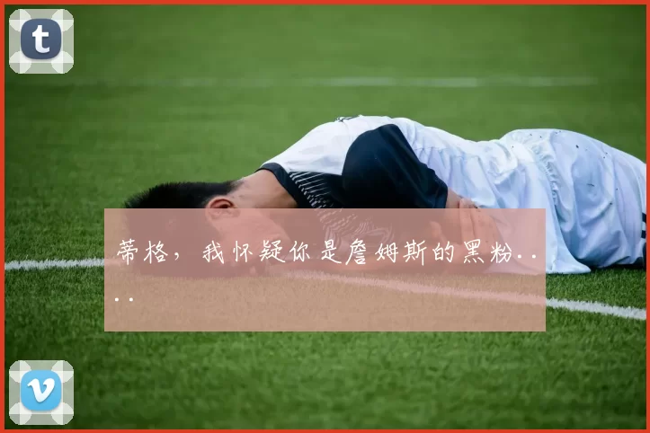 蒂格，我怀疑你是詹姆斯的黑粉....