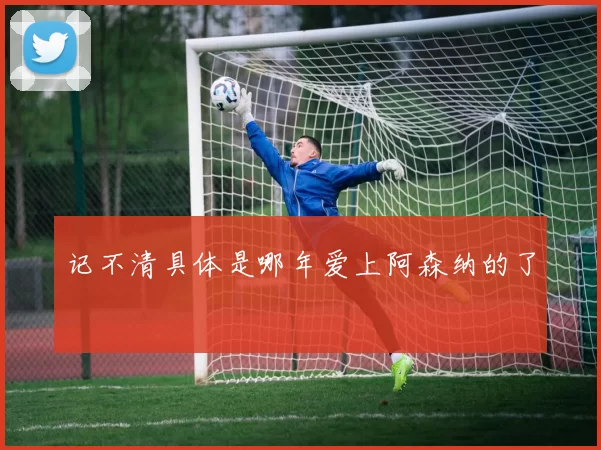 记不清具体是哪年爱上阿森纳的了