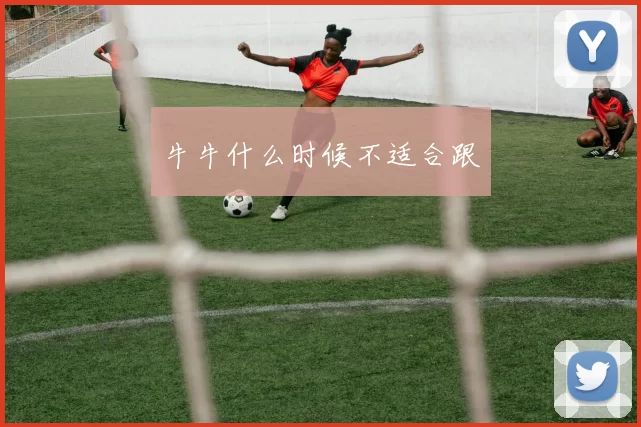 牛牛什么时候不适合跟