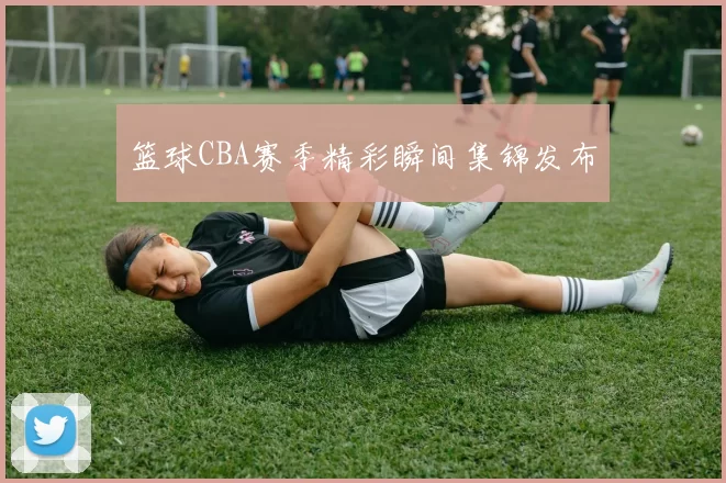 篮球CBA赛季精彩瞬间集锦发布