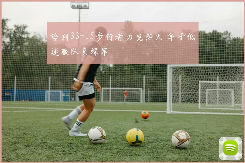 哈利33+15步行者力克热火 华子低迷狼队负绿军