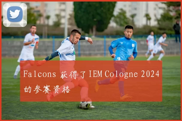 Falcons 获得了IEM Cologne 2024的参赛资格